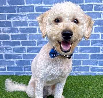 Photo of Rudy