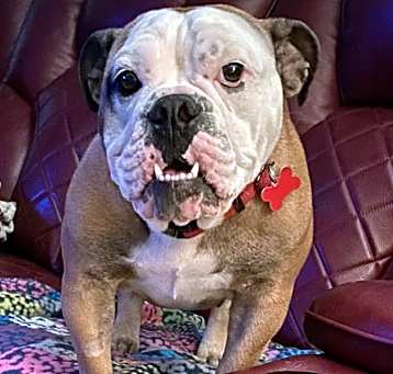 Photo of Macy