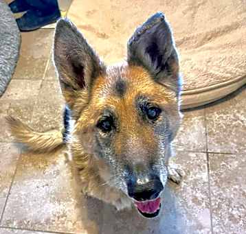 Photo of Tilly