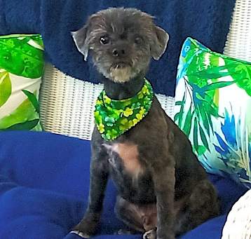 Photo of Bentley