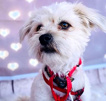 Photo of Benny