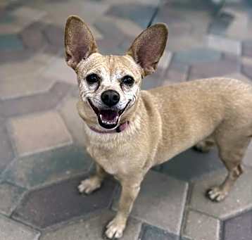 Photo of Rosie