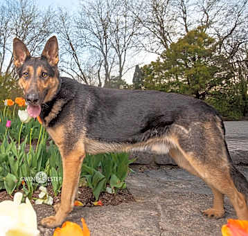 Photo of Gage