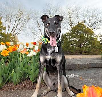 Photo of Judge