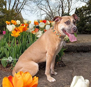 Photo of Murphey