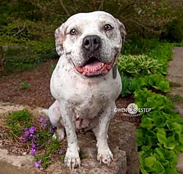 Photo of Natasha