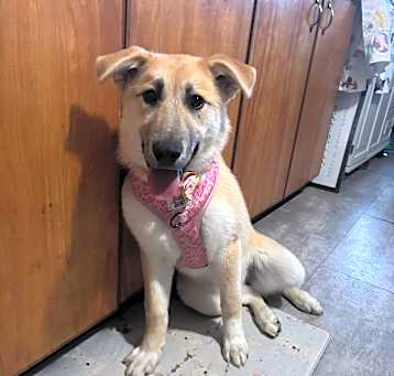 Photo of Navi
