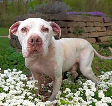 Photo of Quincy