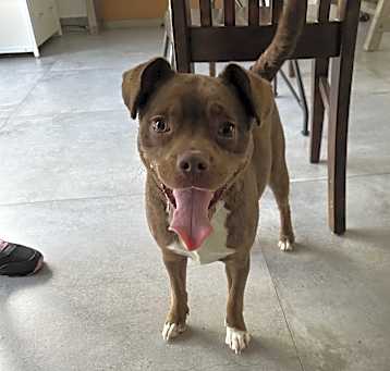 Photo of Remi