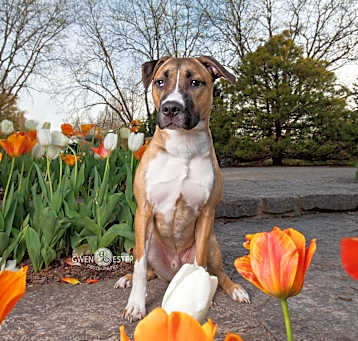 Photo of Trevor