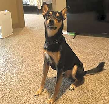 Photo of RYDER