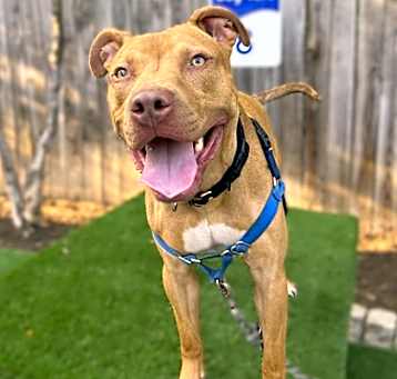 Photo of Bronx