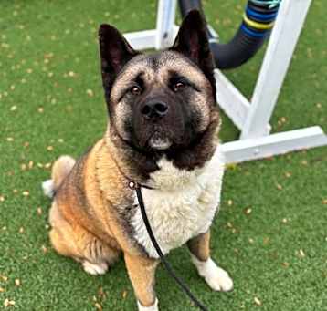 Photo of Nala Renee