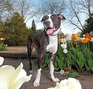 Photo of Zephyr