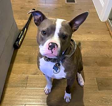 Photo of Rocky