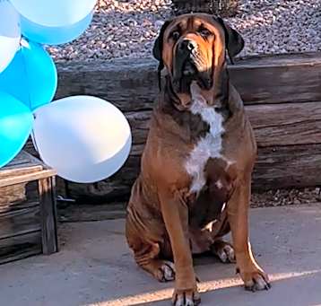 Photo of Bonnie