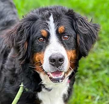 Photo of Lola 