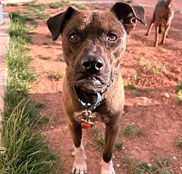 Photo of Frannie