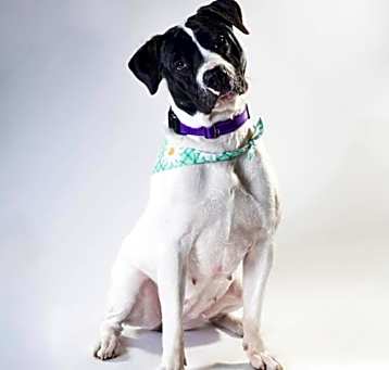 Photo of Zadie