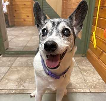 Photo of Foxy Roxy