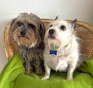 Photo of Jake and Einstein