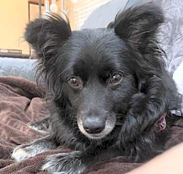 Photo of Sammy Jean Society