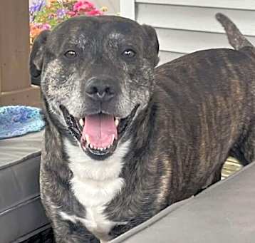 Photo of Trayce