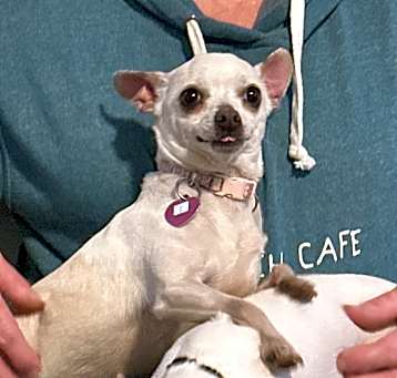 Photo of Evie