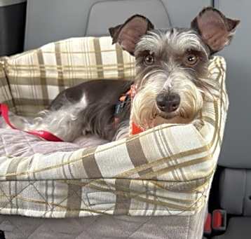 Photo of Matilda