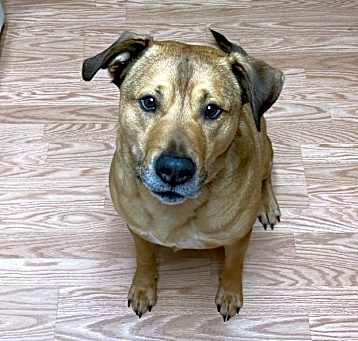 Photo of Kado