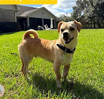 Photo of Colonel Mustard