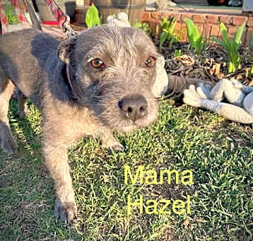 Photo of Mama Hazel