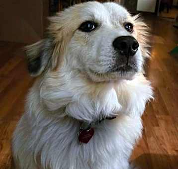 Photo of Astrid