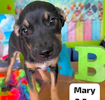 Photo of Mary
