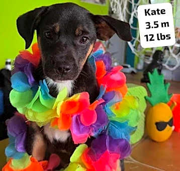 Photo of Kate