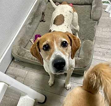 Photo of Lily