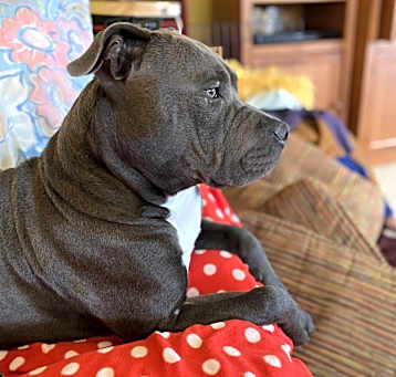 Photo of Smallz