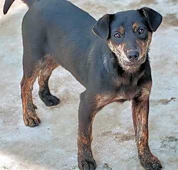 Photo of Milk Choco
