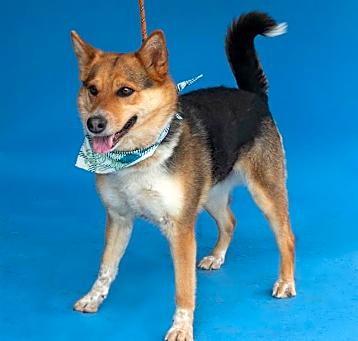 Photo of DEENA