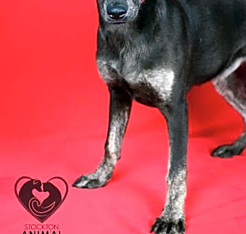 Photo of LOLA