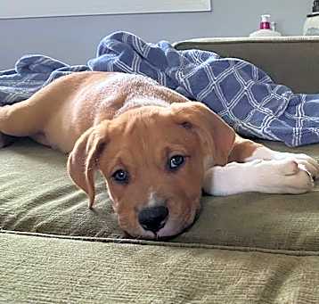 Photo of Cutie Rudy
