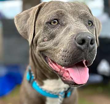 Photo of Diva