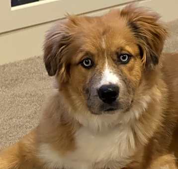 Photo of Mookie