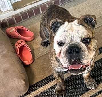 Photo of Thor