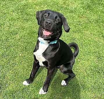 Photo of Truffle