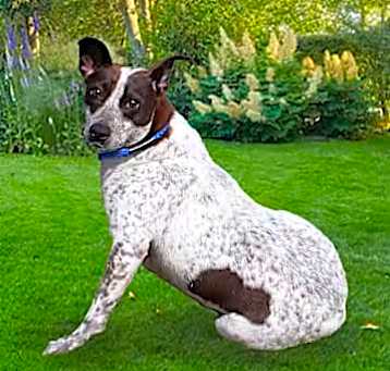Photo of Chloe
