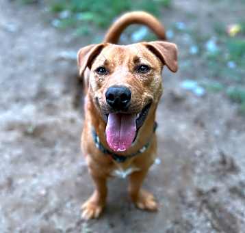 Photo of Chuy