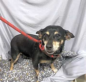 Photo of CHIQUITA