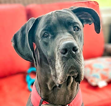 Photo of Winnie