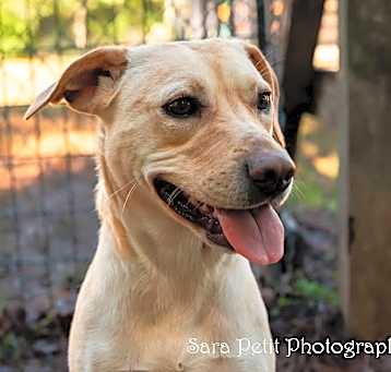 Photo of Spice